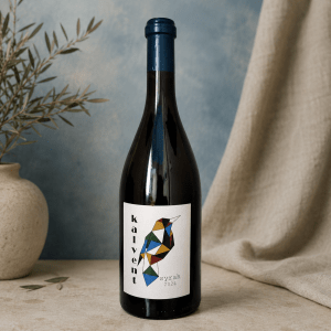 Вино Kalvent Syrah 2024
